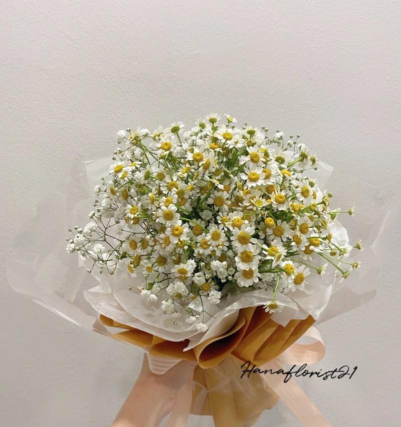 小雏菊代表的花语有哪些？