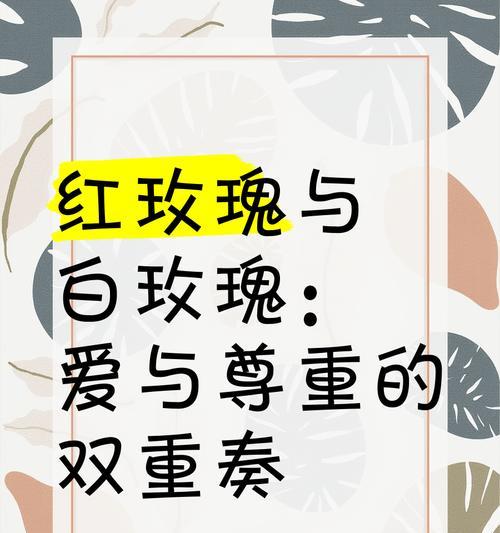 白玫瑰和红玫瑰共同代表什么？它们的组合花语是什么？