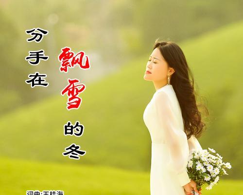 雨中百合的含义是什么？这种情境下百合花有何象征？