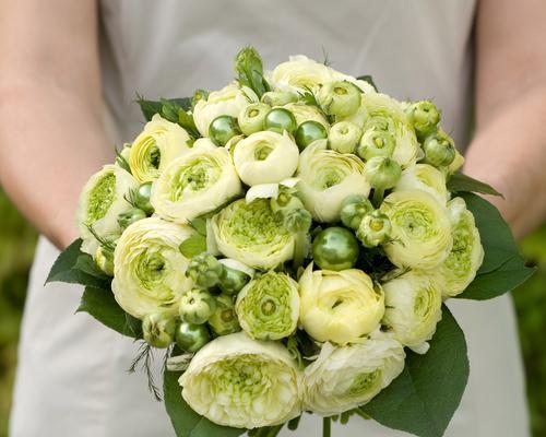 哪种花代表青春？花语中蕴含的含义是什么？