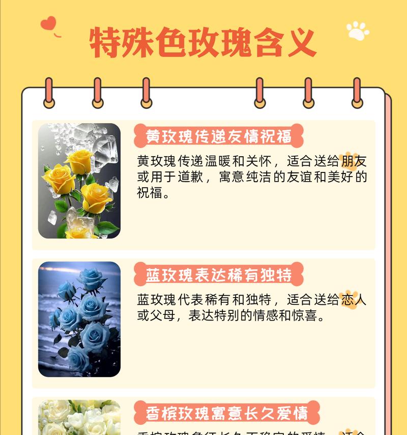 玫瑰花语通常表达什么情感？不同颜色的玫瑰花语有何不同？