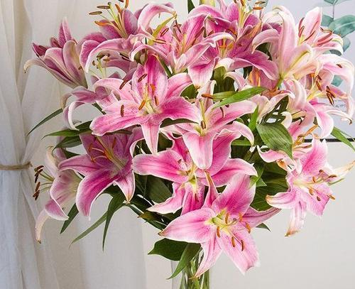 妈妈生日送什么百合花好？如何挑选适合妈妈的百合花？