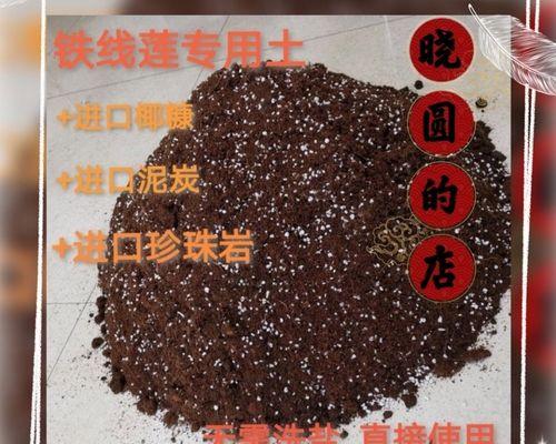 草花盆栽基质具体指什么？它对植物生长有何作用？