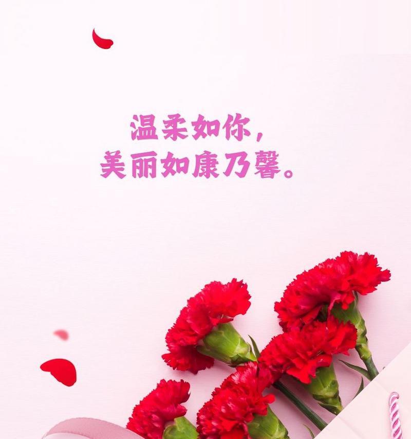 点缀康乃馨的花语是什么？它代表了什么？