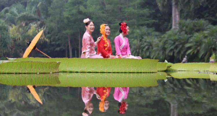 植物系女子的风格特点是什么？