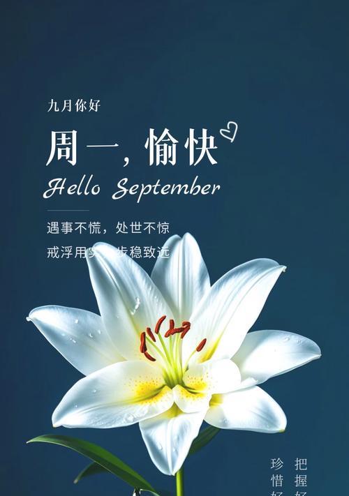 兰花的对花语代表什么？