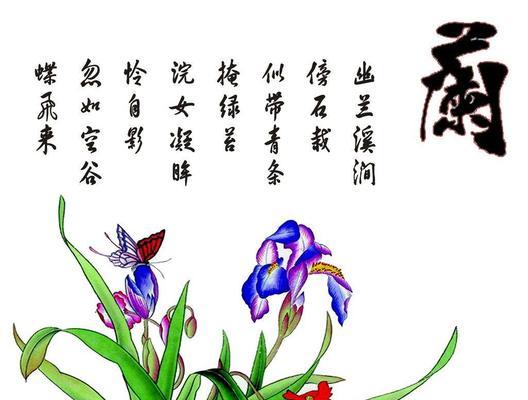 兰花的对花语代表什么？