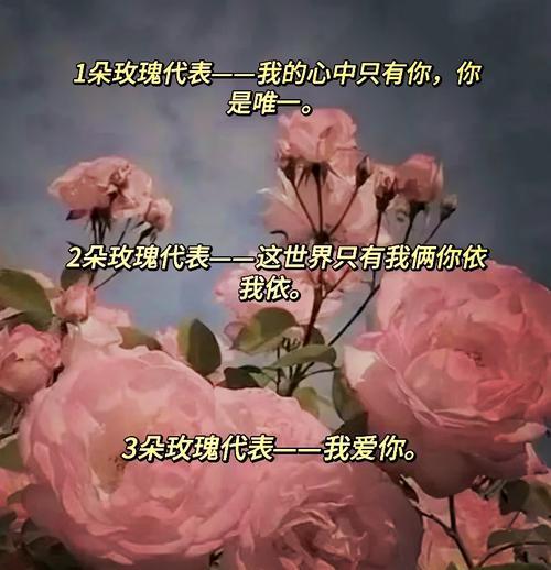五朵白色玫瑰花的寓意是什么？