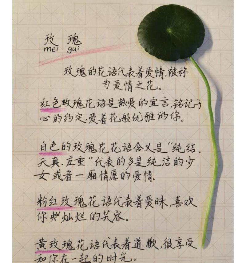 玫瑰花五朵花代表什么？五朵玫瑰的花语有哪些？