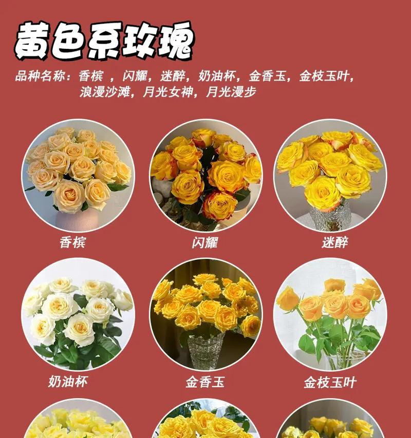 女生送黄色康乃馨有何深意？黄色康乃馨代表什么情感？