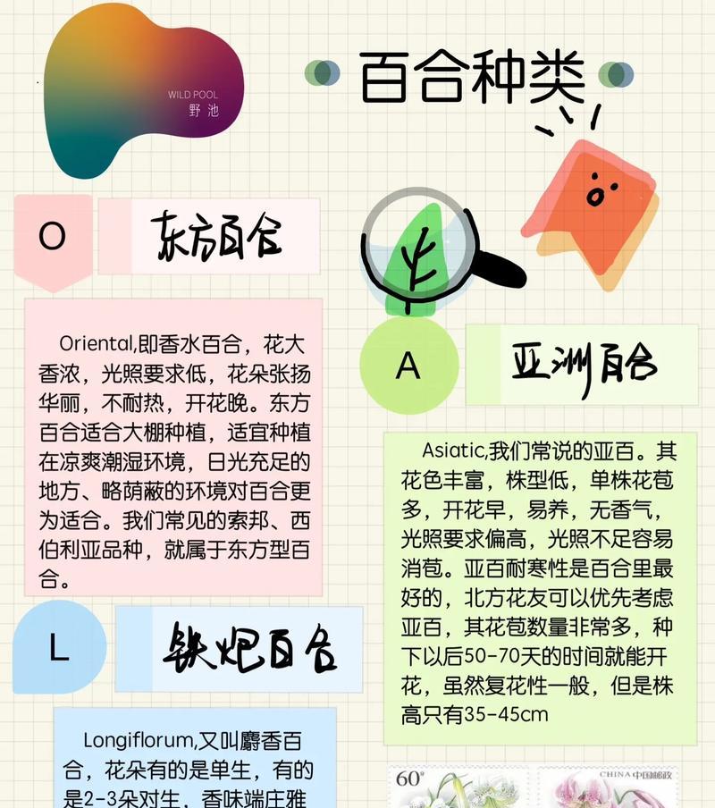 空谷百合花的寓意是什么？