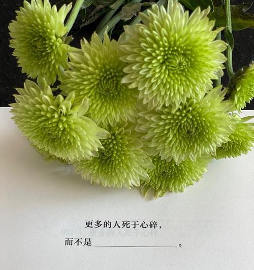女人用脚种盆栽有何含义？这种行为背后隐藏着什么信息？