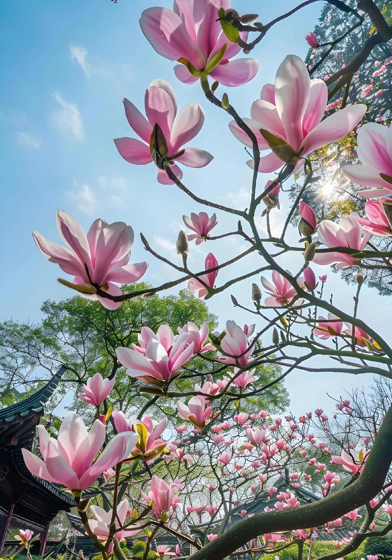 每种花都有其独特的花语吗？它们各自代表了什么？