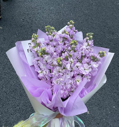 紫罗兰玫瑰花语是什么？紫罗兰玫瑰代表什么？