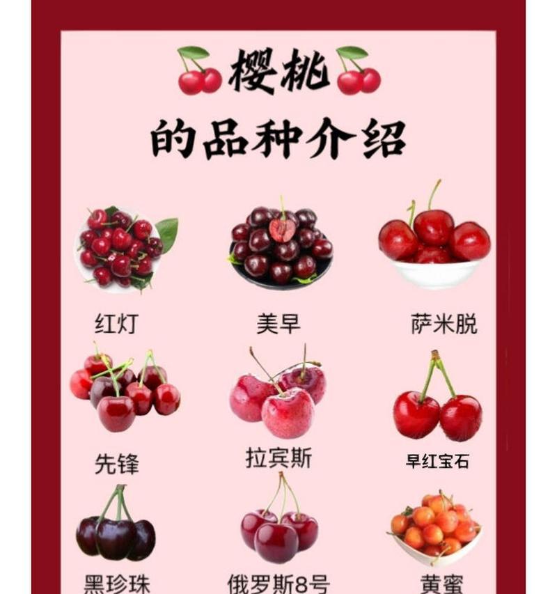 樱桃的花语代表什么？