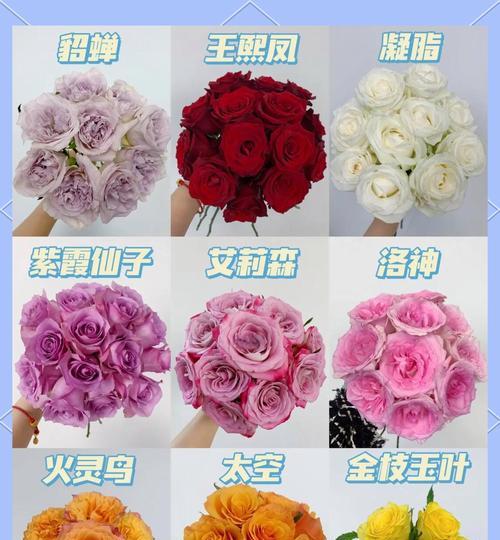 送给女生不土气的玫瑰花是什么？如何选择合适的玫瑰？