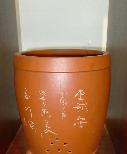 君子兰最适合哪种花盆？如何进行养护？