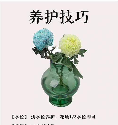 牡丹花瓶的花语和寓意是什么？它象征着什么？
