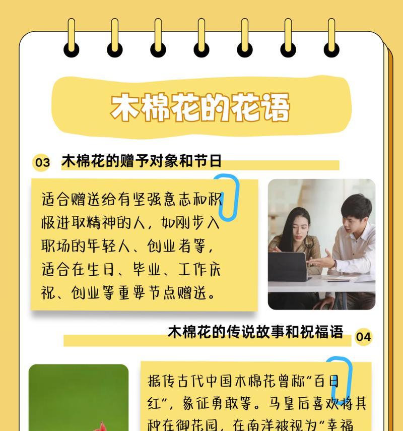 偏爱和宠爱的花语区别是什么？两者在花语中有何不同？