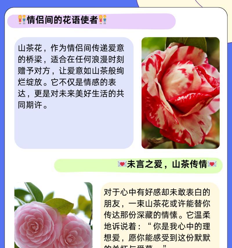 五岁到七岁孩子的花语有何特别之处？它代表了什么？