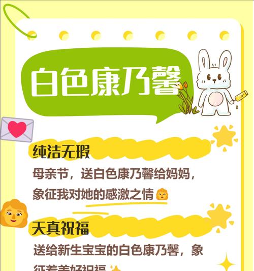 五岁到七岁孩子的花语有何特别之处？它代表了什么？