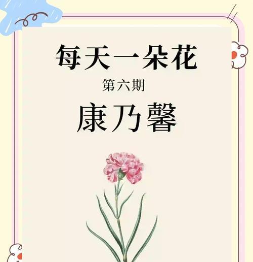 玫瑰、康乃馨和郁金香的花语是什么？它们各自代表了什么？