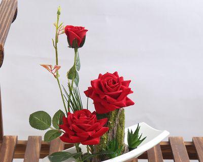 田园玫瑰花成品怎么养护？需要注意什么？