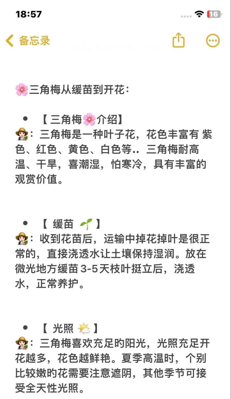 紫花三角仙人球的养护要点有哪些？