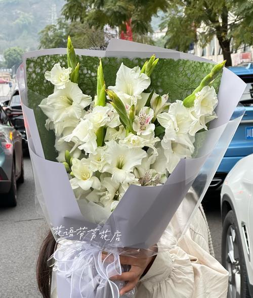 乱世佳人象征着什么？花语有何深层含义？
