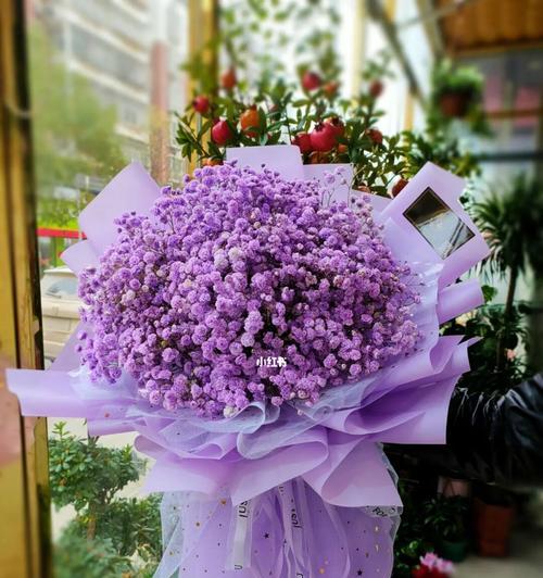 紫色满天星的花语代表什么？