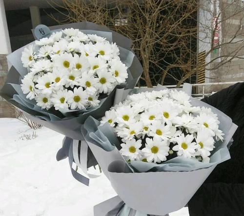 兄弟四季的花语有哪些寓意？