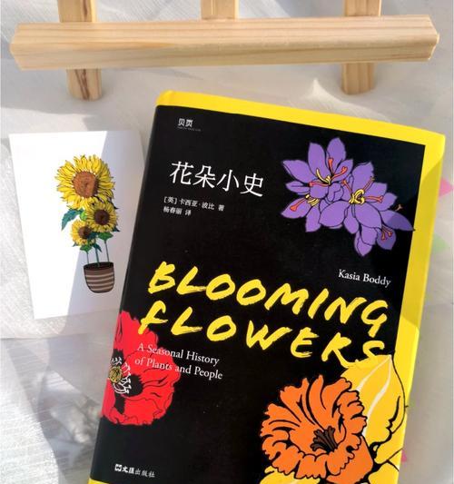 杨桑花代表的花语是什么？