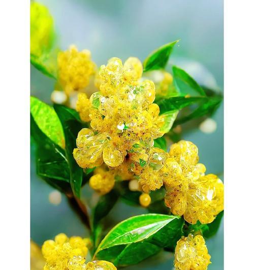树的花语有哪些搞笑解释？树的花语如何幽默理解？
