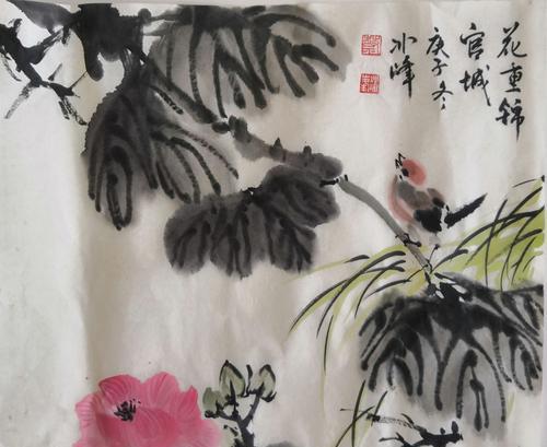 一年四季照顾的花语代表了什么？