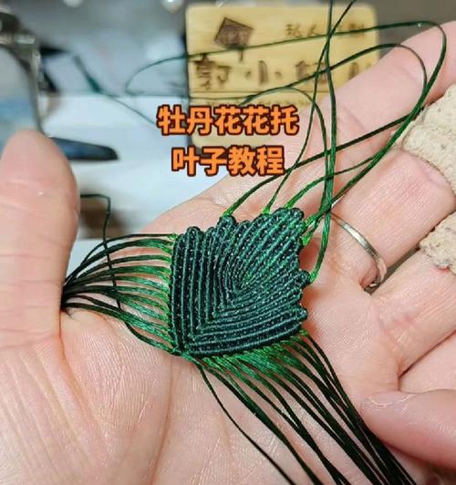 牡丹花喷叶子的正确方法是什么？