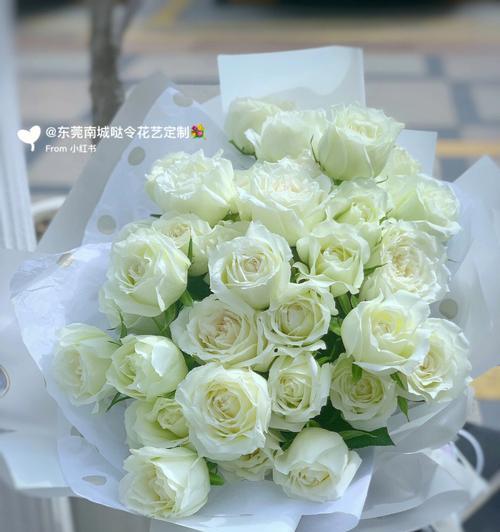 白玫瑰纯纯的爱的花语是什么？它表达的情感是什么？