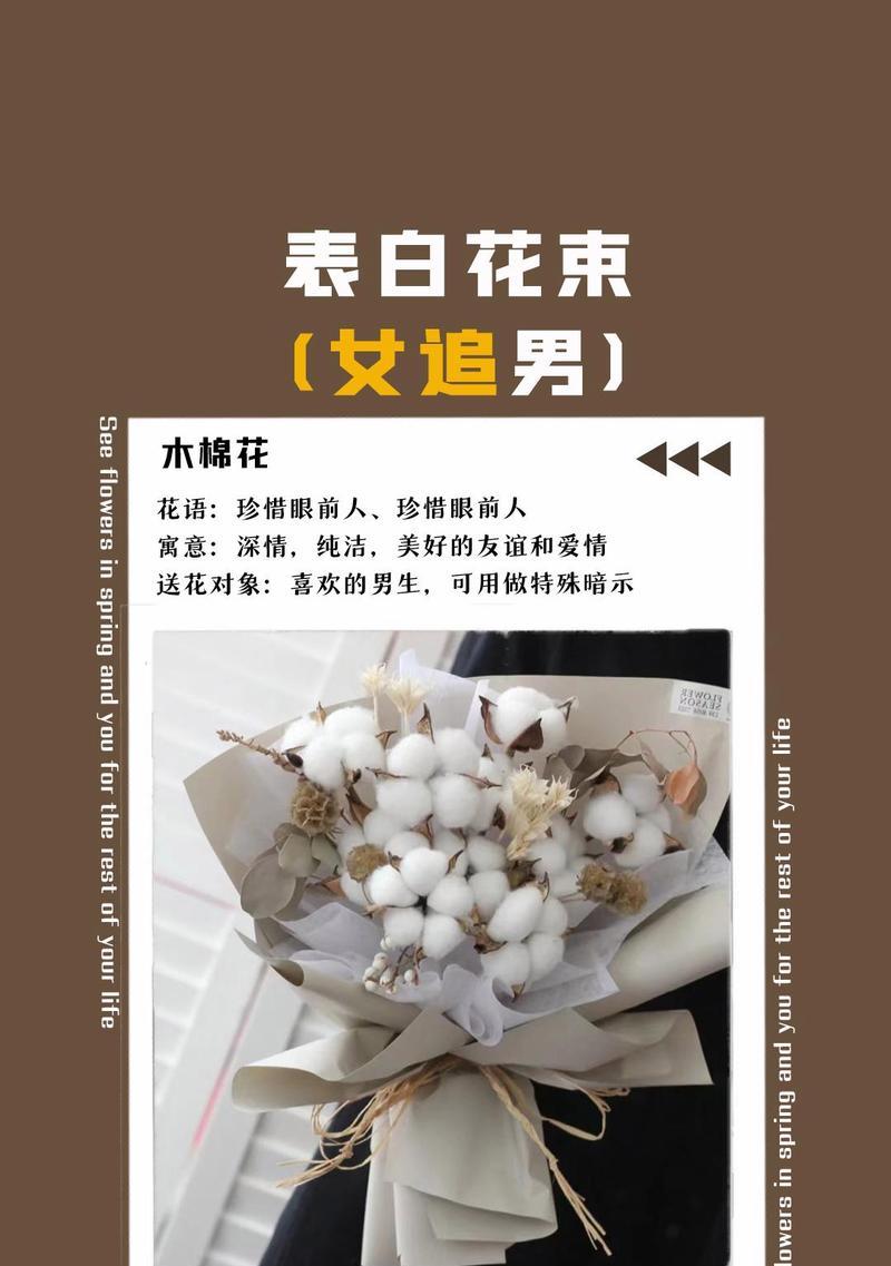 向男生表达的花语有哪些？
