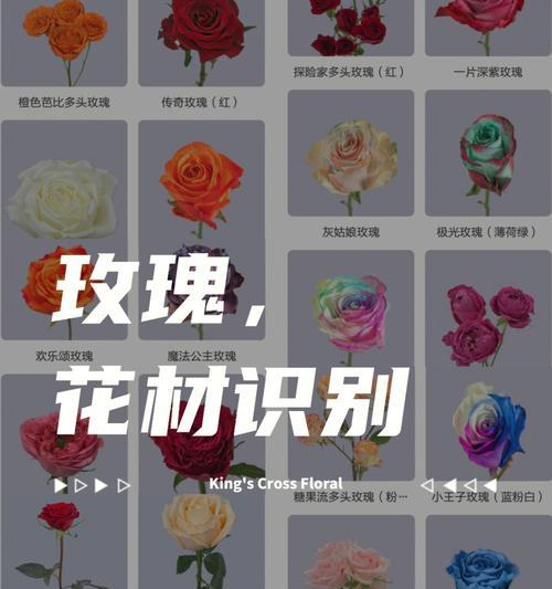送男朋友玫瑰花几朵代表什么？它们的花语有何含义？