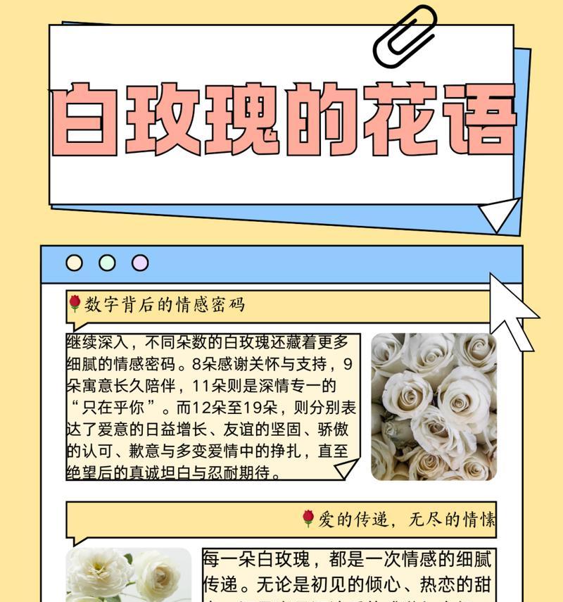 送男朋友玫瑰花几朵代表什么？它们的花语有何含义？