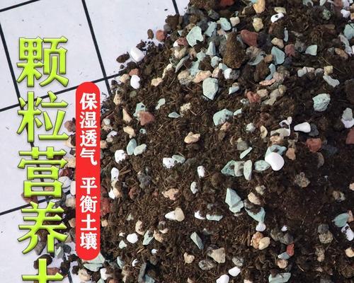 仙人球栽培需要哪种土壤？如何确保土壤适宜？