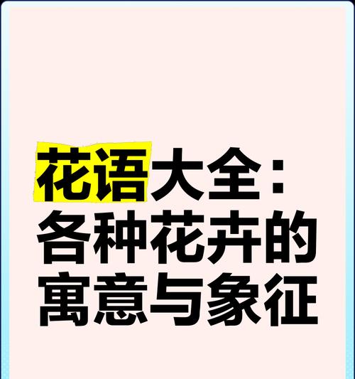 暗恋奔赴的花语代表了什么？它如何表达情感？