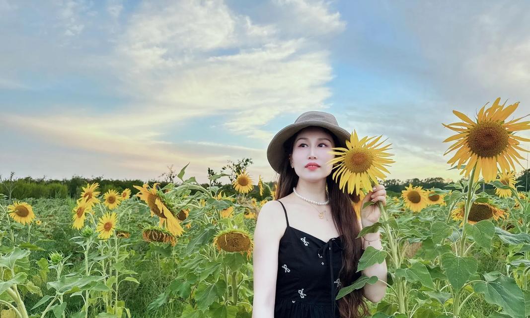 代表求合的花语是什么意思？哪种花代表了求和的意愿？