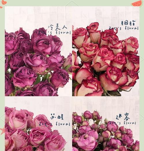 干开花玫瑰花怎么养护好？干花玫瑰的保养秘诀是什么？
