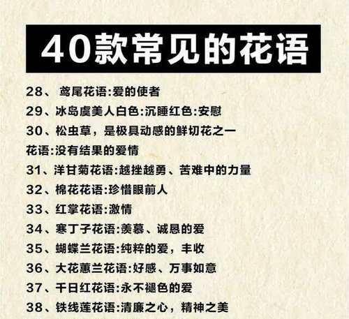 花的花语诗句及其作用是什么？