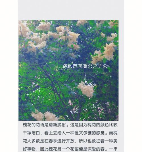 哪种花的花语象征自我讽刺？如何用花语表达自嘲？