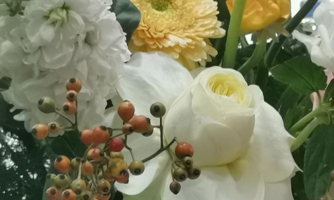 哪种花的花语象征自我讽刺？如何用花语表达自嘲？