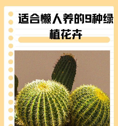 仙人掌倒了是否需要修根以及如何养护？