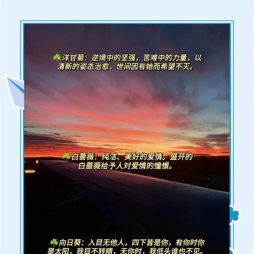 送男友花语如何表达爱意？哪种花语最适合男友？