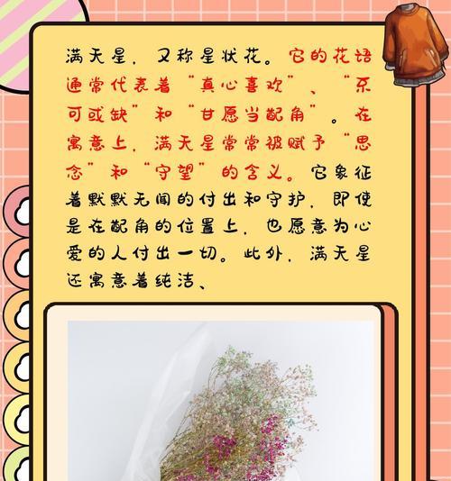 情侣花语有哪些祝福含义？