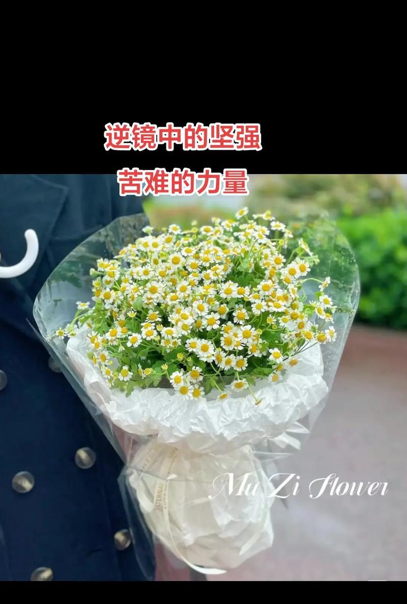 重复生活的花语是什么意思？重复生活花束在花语中代表了什么？